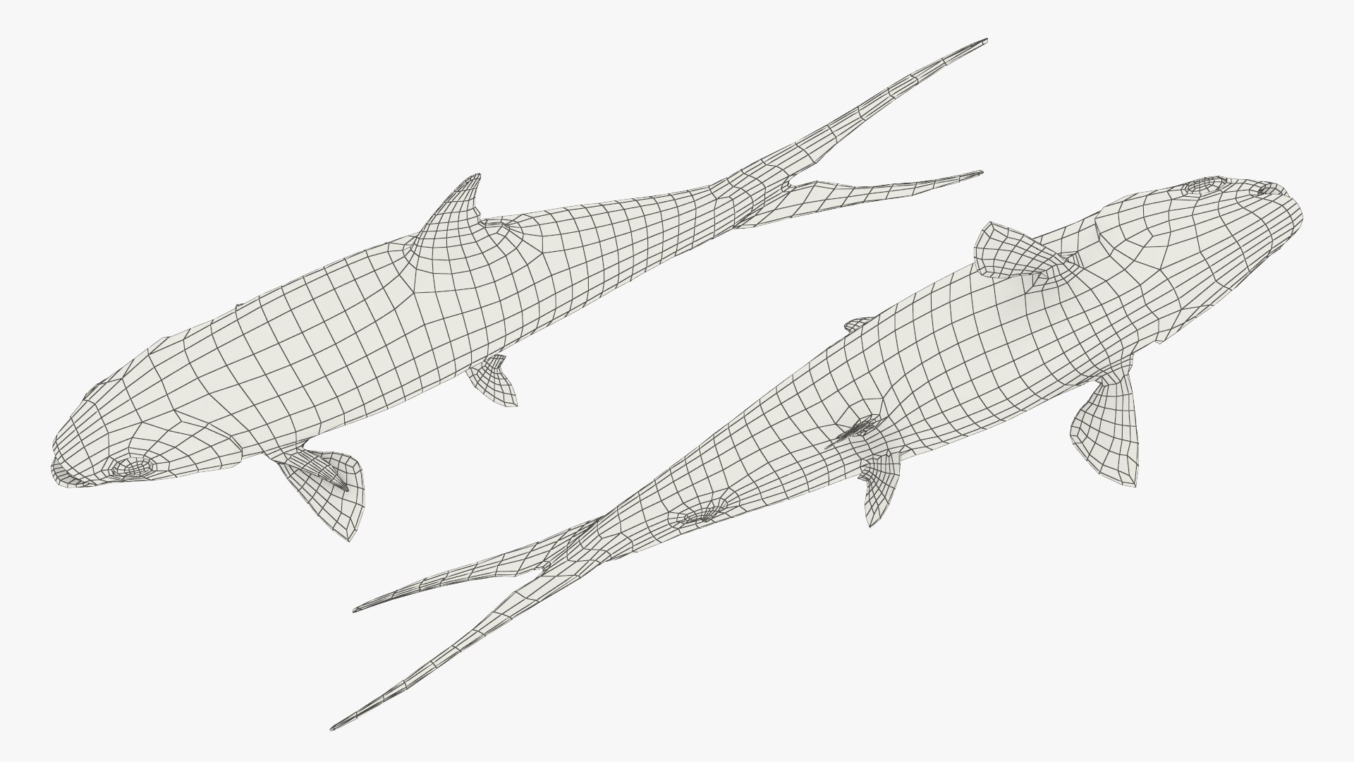3D Milkfish Rigged For Maya https://p.turbosquid.com/ts-thumb/xQ/SZADnM/9r/milkfish_rigged_for_maya_012/jpg/1775673197/1920x1080/fit_q87/eb3ec78d5405e9abb65f7c406a990d9d69dae6ab/milkfish_rigged_for_maya_012.jpg