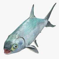 Milkfish Rigged For Maya