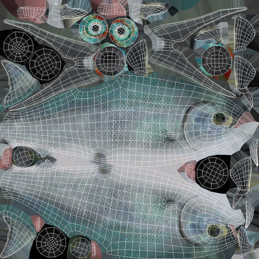 3D Milkfish Rigged For Maya https://p.turbosquid.com/ts-thumb/xQ/SZADnM/eZ/milkfish_rigged_for_maya_014/jpg/1775673204/1920x1080/fit_q87/37b9b186f3e1bc860f70d5f074c45348aaabd0bd/milkfish_rigged_for_maya_014.jpg