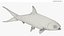Milkfish Rigged For Maya