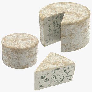 blue cheese 3D model