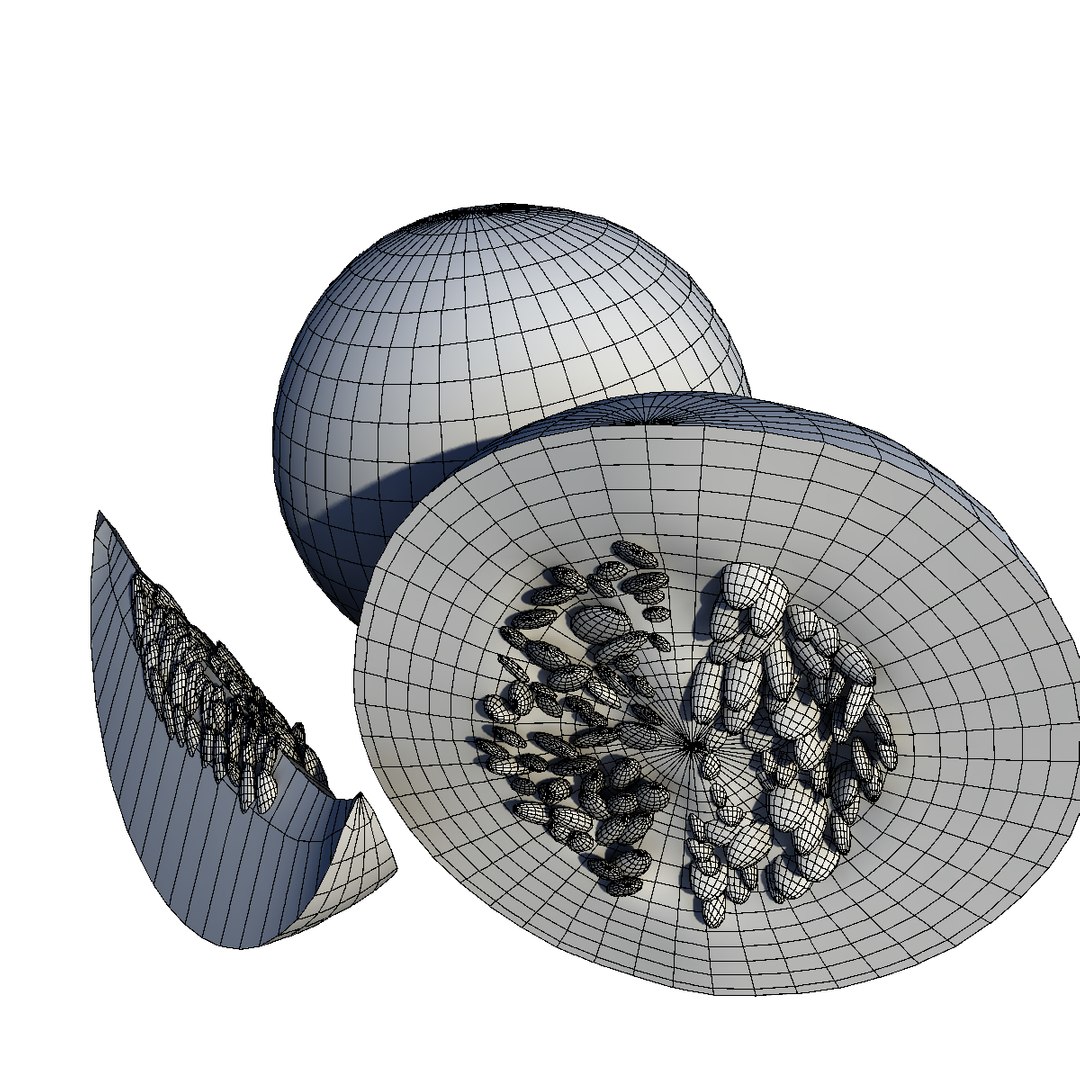 3D cantaloupe fruit https://p.turbosquid.com/ts-thumb/xQ/WmiGc0/3d19Yubk/wire3/png/1586805943/1920x1080/fit_q87/91d584e2a9ca1edeb5c1421fe470a5a675fa971a/wire3.jpg