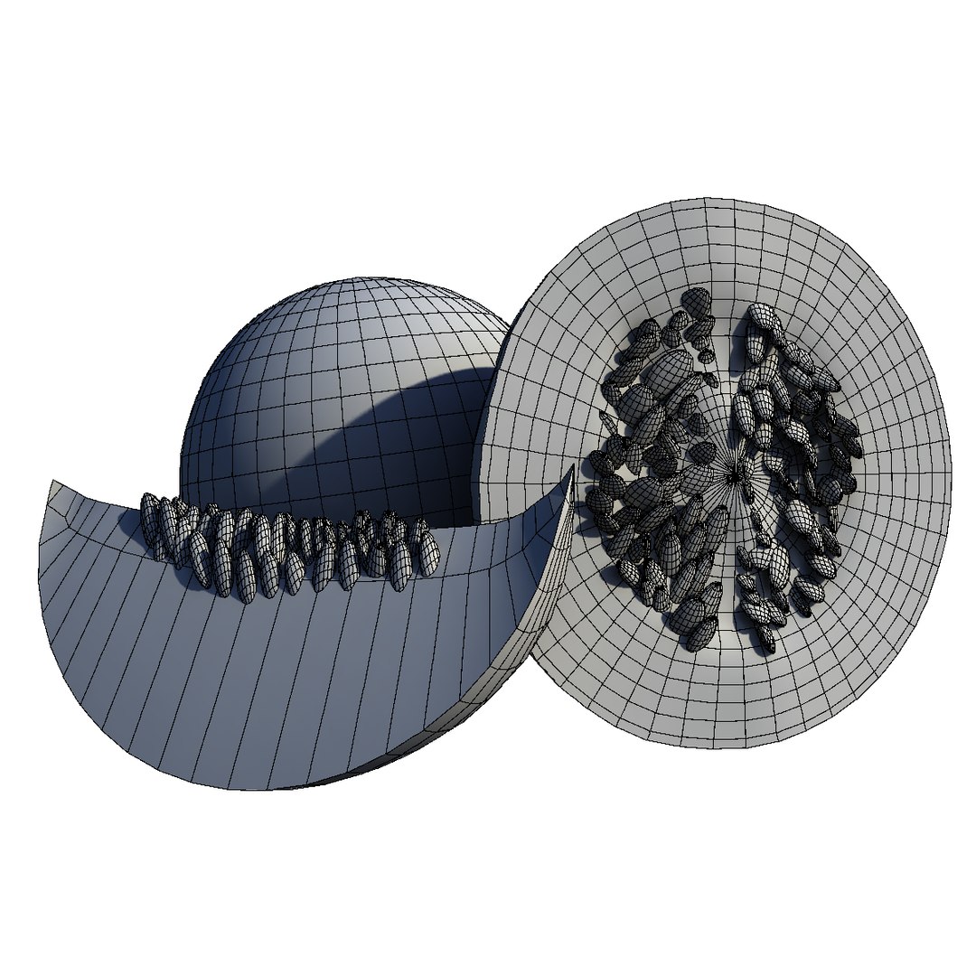 3D cantaloupe fruit https://p.turbosquid.com/ts-thumb/xQ/WmiGc0/NABv3puT/wire1/png/1586805943/1920x1080/fit_q87/6e1ea086684ce4513e0522983edfd3973e6a9257/wire1.jpg