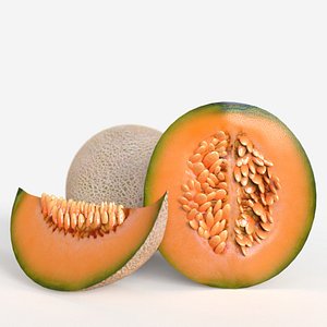 Cantaloupe