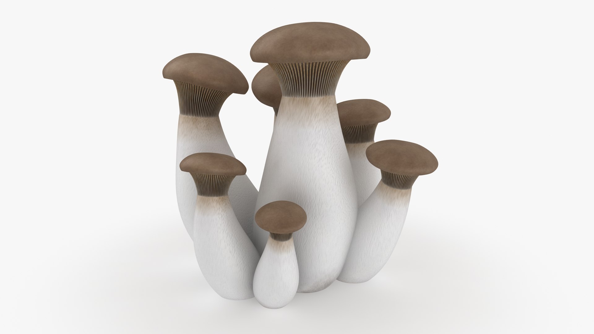 mushrooms 03 3D https://p.turbosquid.com/ts-thumb/xQ/XEnY60/0M/kingoystermushroom_b0002/jpg/1673267198/1920x1080/fit_q87/11442503a44ade3ac524a46480351cd7c5899cc0/kingoystermushroom_b0002.jpg
