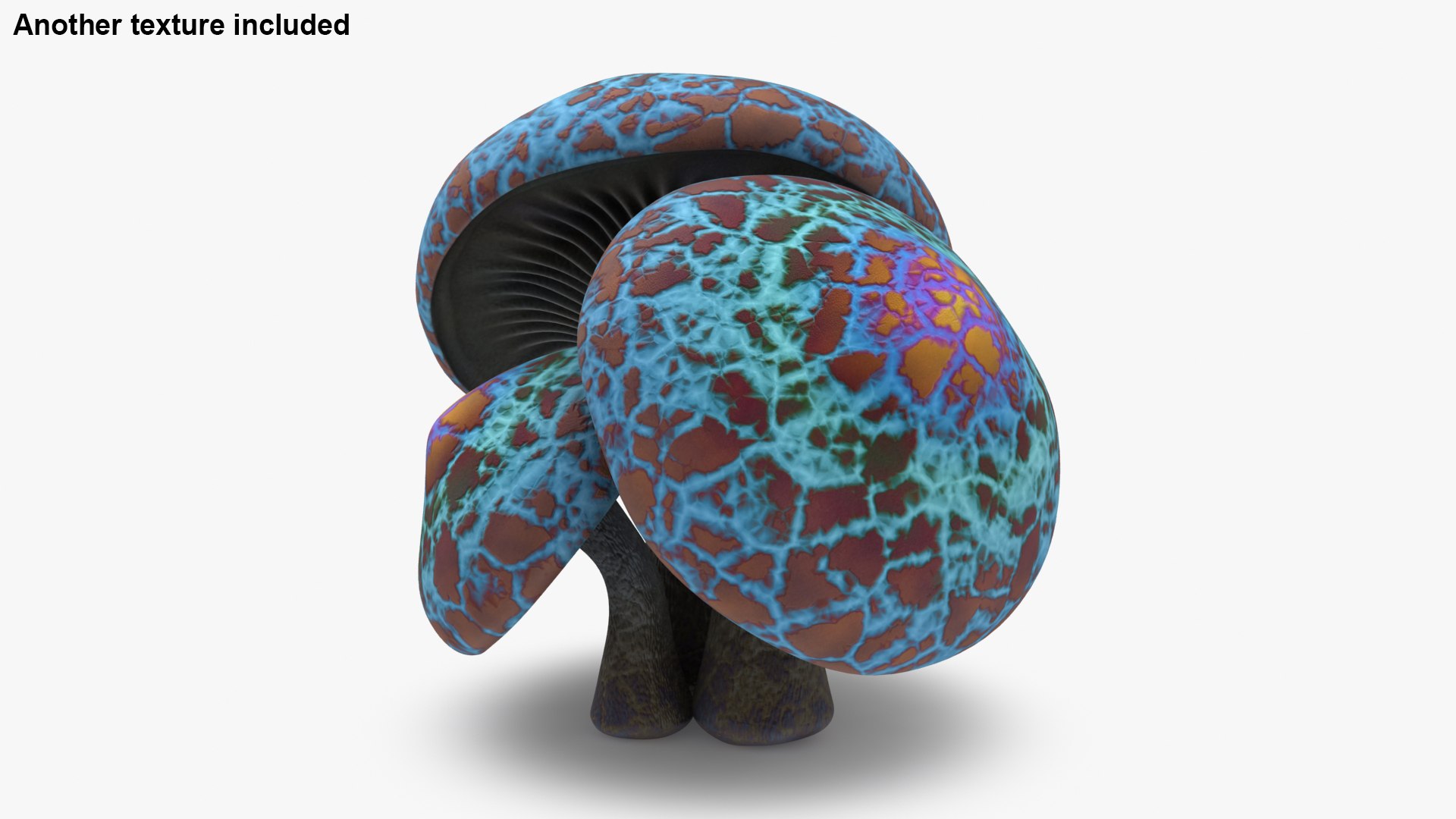 mushrooms 03 3D https://p.turbosquid.com/ts-thumb/xQ/XEnY60/0k/shiitakemushrooms_b0007/jpg/1673267118/1920x1080/fit_q87/c76609f8b3c9aea7f9e36123f653c4d7c16cd036/shiitakemushrooms_b0007.jpg