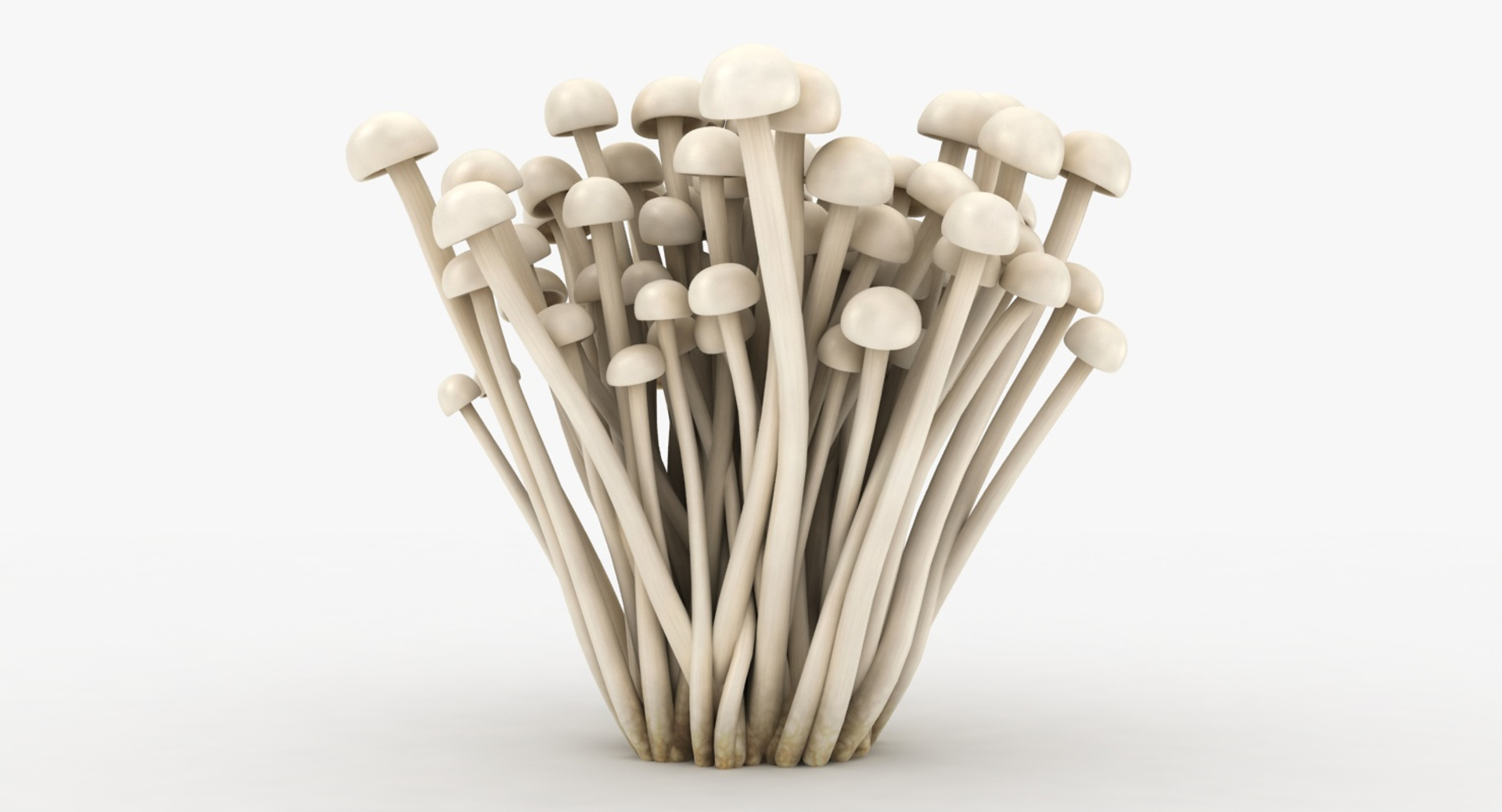 mushrooms 03 3D https://p.turbosquid.com/ts-thumb/xQ/XEnY60/8gr0K67O/lemon/jpg/1577551457/1920x1080/turn_fit_q99/dbc00e73534d7c0a6e447dd3c859aaacfc39615f/lemon-1.jpg