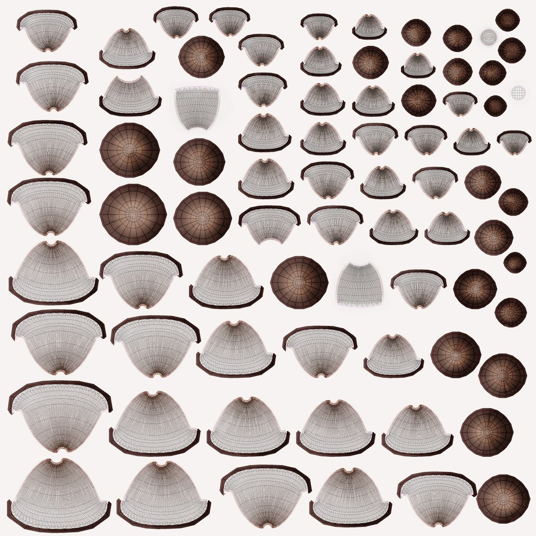 mushrooms 03 3D https://p.turbosquid.com/ts-thumb/xQ/XEnY60/GY/oystermushroom_d0004/jpg/1673267234/1920x1080/fit_q87/120c43d21549ca918c251a301d15dd427960b6a2/oystermushroom_d0004.jpg