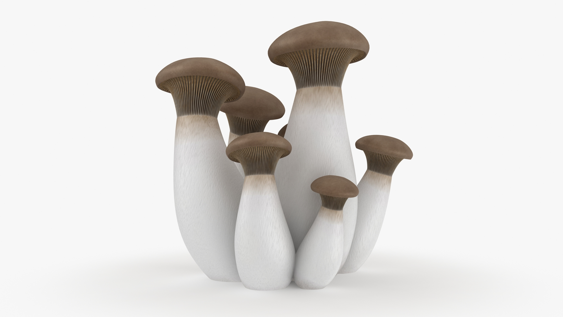 mushrooms 03 3D https://p.turbosquid.com/ts-thumb/xQ/XEnY60/YF/kingoystermushroom/jpg/1673267205/1920x1080/turn_fit_q99/2a3bda97c11cbe91cd206f9d32ae33ea61f17a51/kingoystermushroom-1.jpg