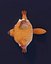 Modelo 3D animado de zorro de dibujos animados