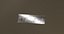 Steel ignot