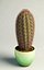 flowering cactus 3d model