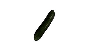 Cucumber