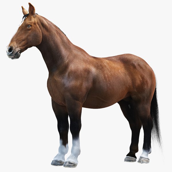 3d model horse realistic modeled