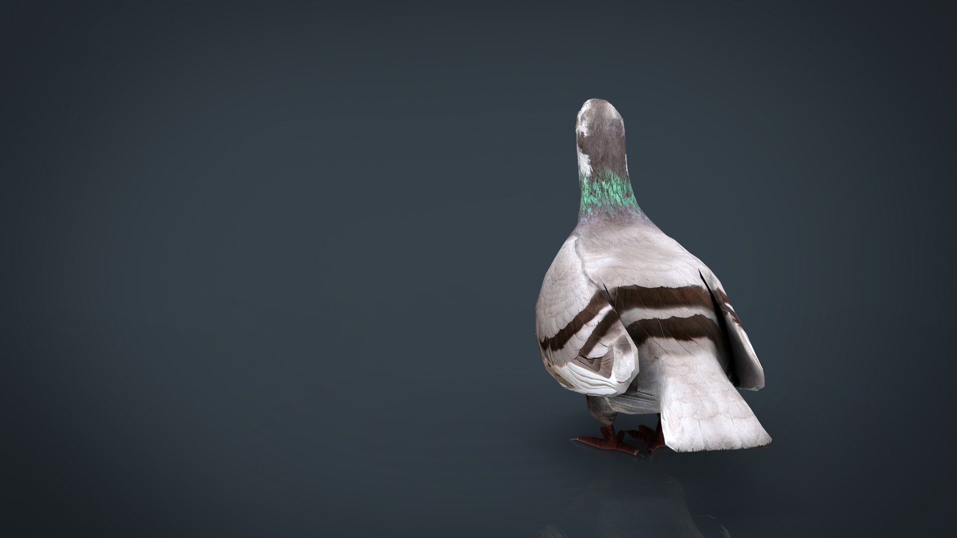 dove model https://p.turbosquid.com/ts-thumb/xQ/zmrxJa/45fNnhmh/dove.505/jpg/1499099102/1920x1080/fit_q87/b1f2b628e52fed9eb8d9ce9012cc43c8c70802a8/dove.505.jpg