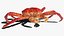 Alaskan King Crab Eating Animated Rigged For Blender