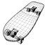 Skateboards Collection