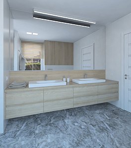 3D Bright shower room