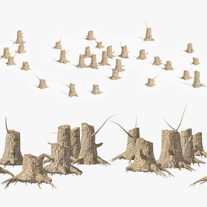 Stump Tree Field 3D model