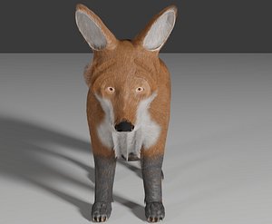 fox 3D