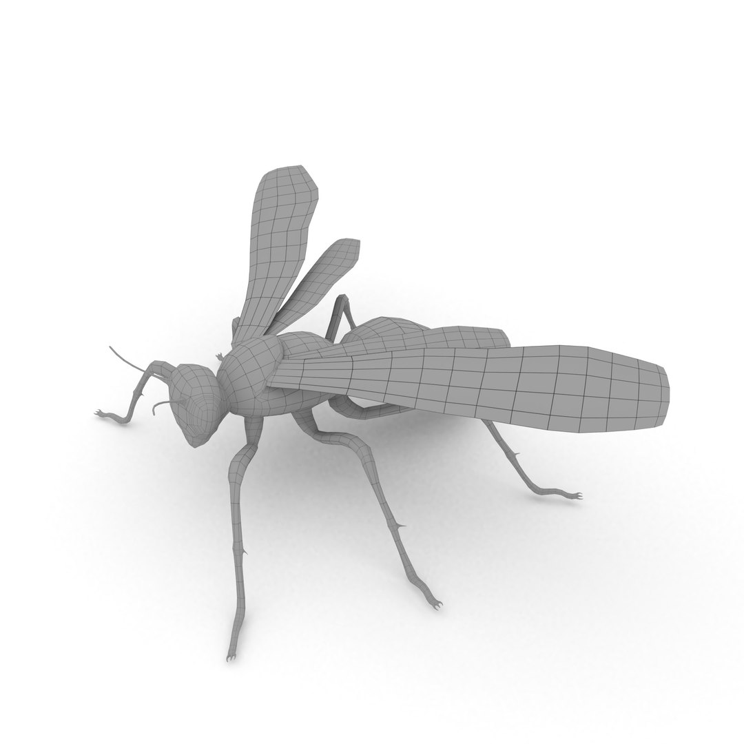 insect nature animal 3D model https://p.turbosquid.com/ts-thumb/xR/zJ3Jdq/JvfUdfGv/wasp_r10/jpg/1539105862/1920x1080/fit_q87/2154c8446bf4f910f103eb321fc0be65ff639b90/wasp_r10.jpg
