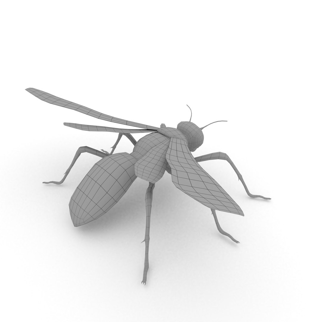 insect nature animal 3D model https://p.turbosquid.com/ts-thumb/xR/zJ3Jdq/PQKkoXTR/wasp_r12/jpg/1539105862/1920x1080/fit_q87/eea2a9d29276d424035fdb67ee0d51a1cc2d47ac/wasp_r12.jpg