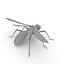 Wasp