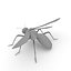 Wasp