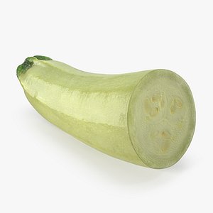 summer squash gray zucchini model