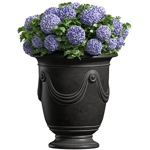 Hydrangea in a classic French Vase Front Entrance Porch