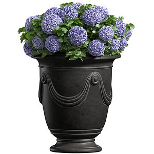 Hydrangea in a classic French Vase Front Entrance Porch