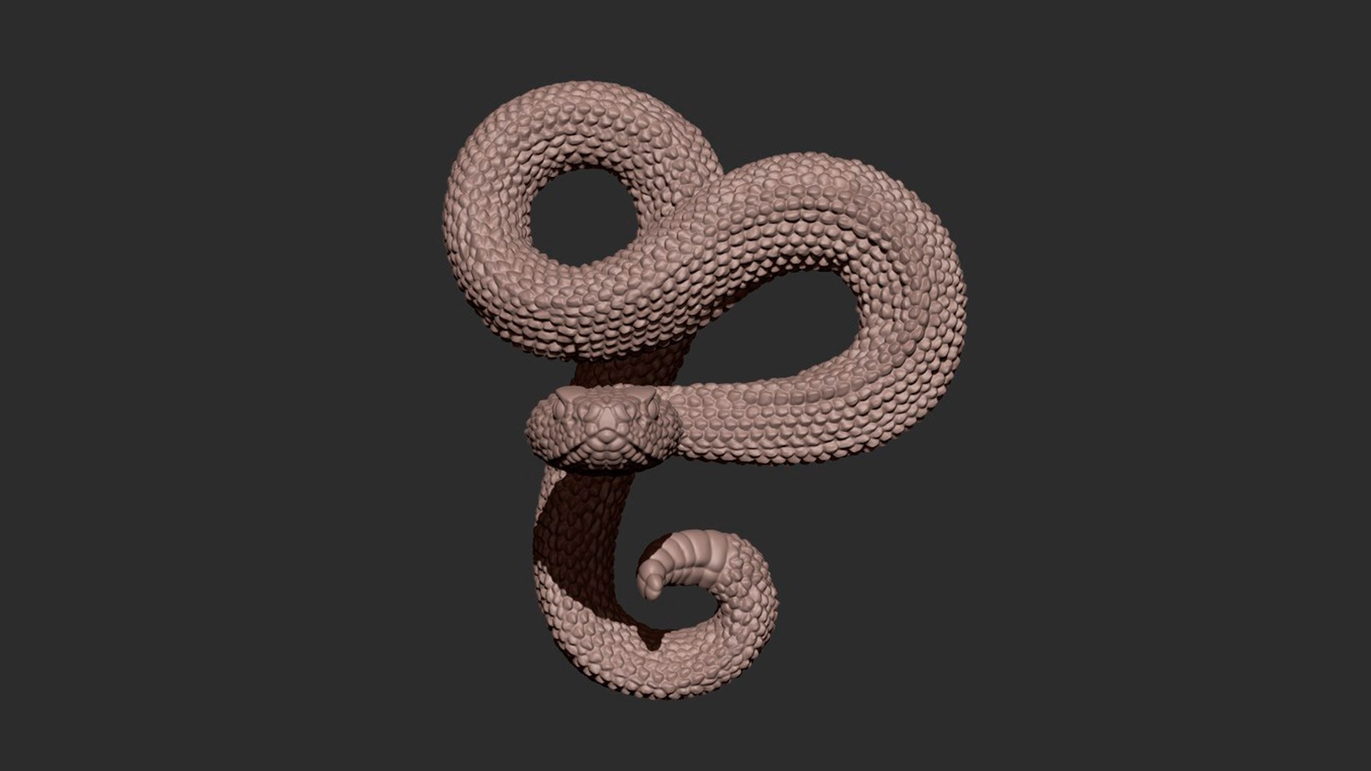 Rattlesnake Model - TurboSquid 2288616