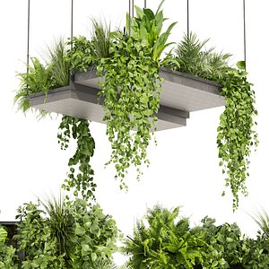 3D Collection plant vol 411 - pothos - hanging - ampelous - palm - blender - 3dmax - cinema 4d
