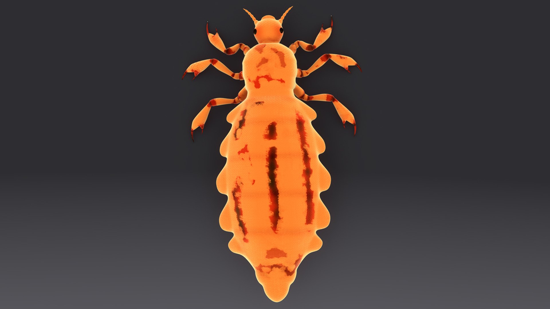 pediculus louse infects 3d model https://p.turbosquid.com/ts-thumb/xS/Zsao2u/q2IU6Amp/b0376pediculus_top.0001/jpg/1481024342/1920x1080/fit_q87/6ea95b7ba6e00f498711db15364d366e175fbe09/b0376pediculus_top.0001.jpg