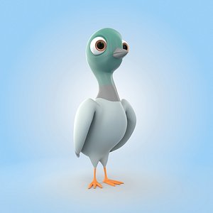 Pigeon
