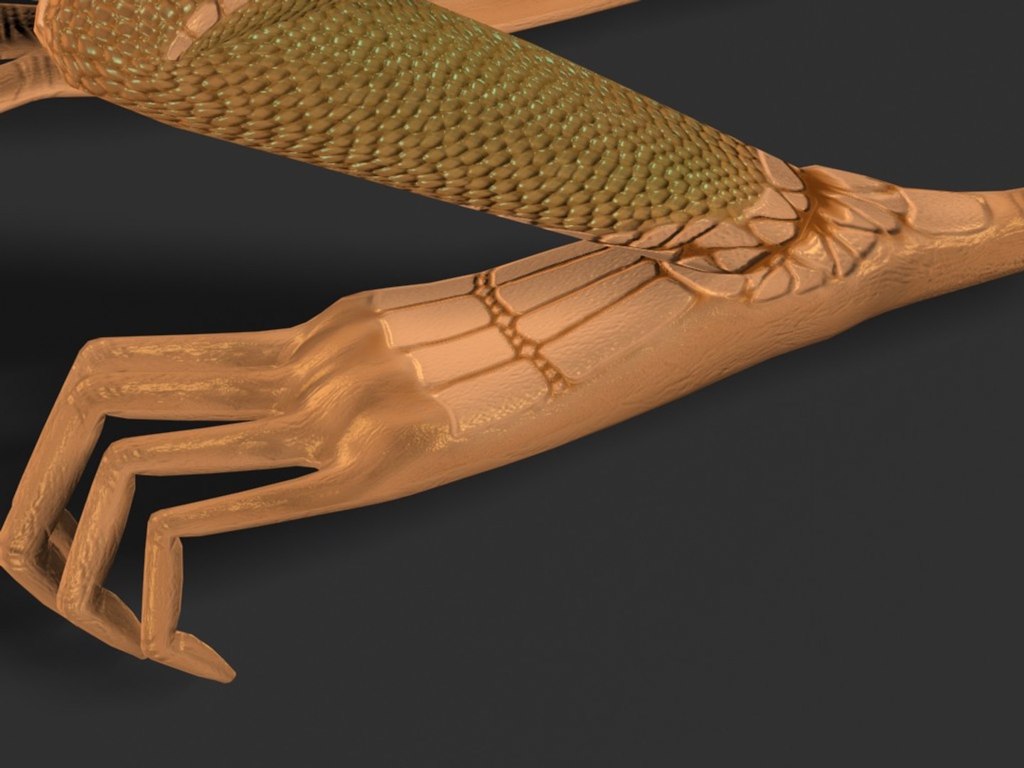 dragon rigged polys 3d model https://p.turbosquid.com/ts-thumb/xS/pXw3P2/9MtgksKW/d07/jpg/1241570851/1920x1080/fit_q87/35c28ae55018ebbe07cd1592790a1202ea2b8091/d07.jpg
