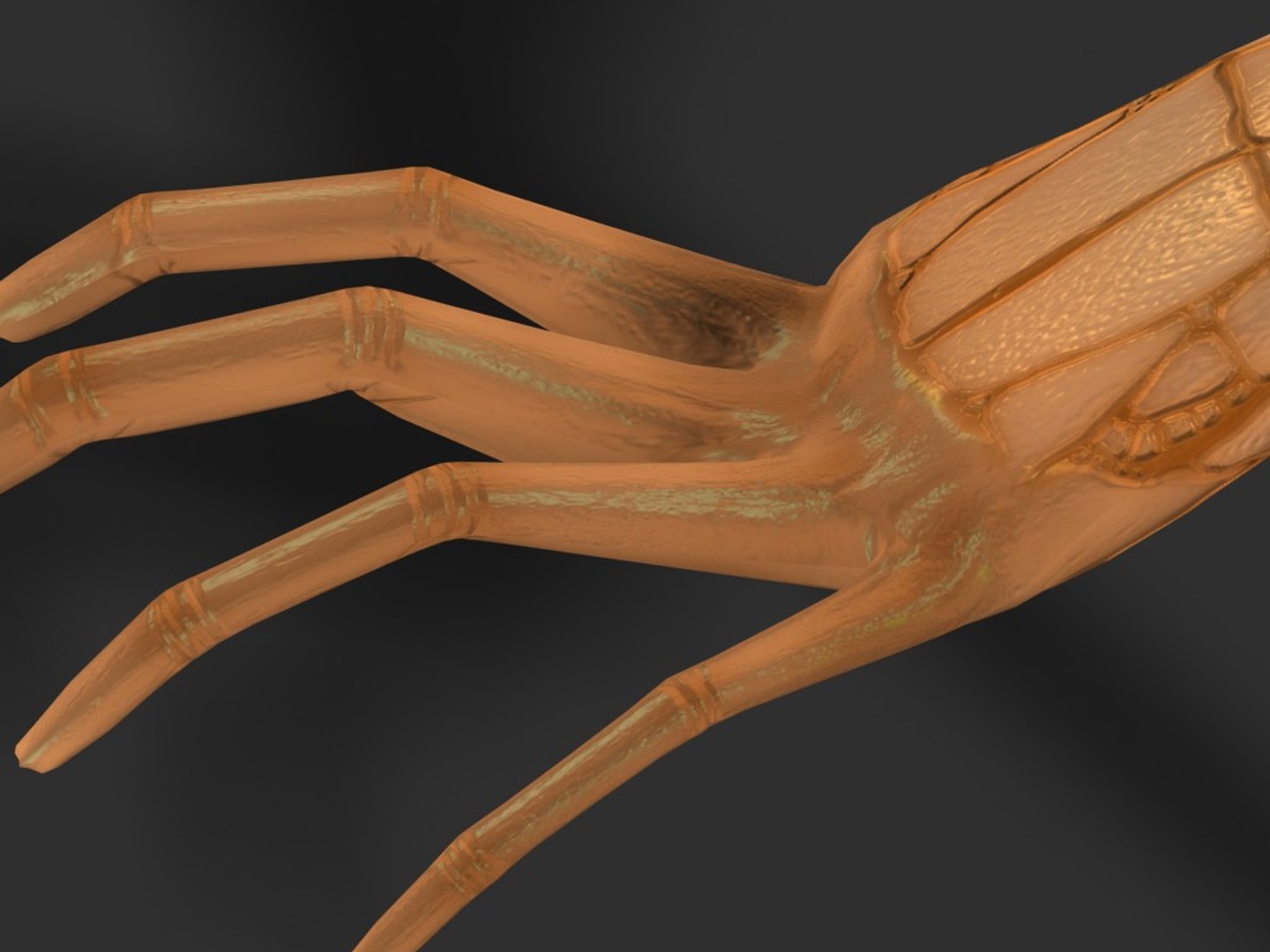 dragon rigged polys 3d model https://p.turbosquid.com/ts-thumb/xS/pXw3P2/K2lgxUHY/d08/jpg/1241570855/1920x1080/fit_q87/9194ffd80f67bf56d9b8f59e998dfd8168805781/d08.jpg