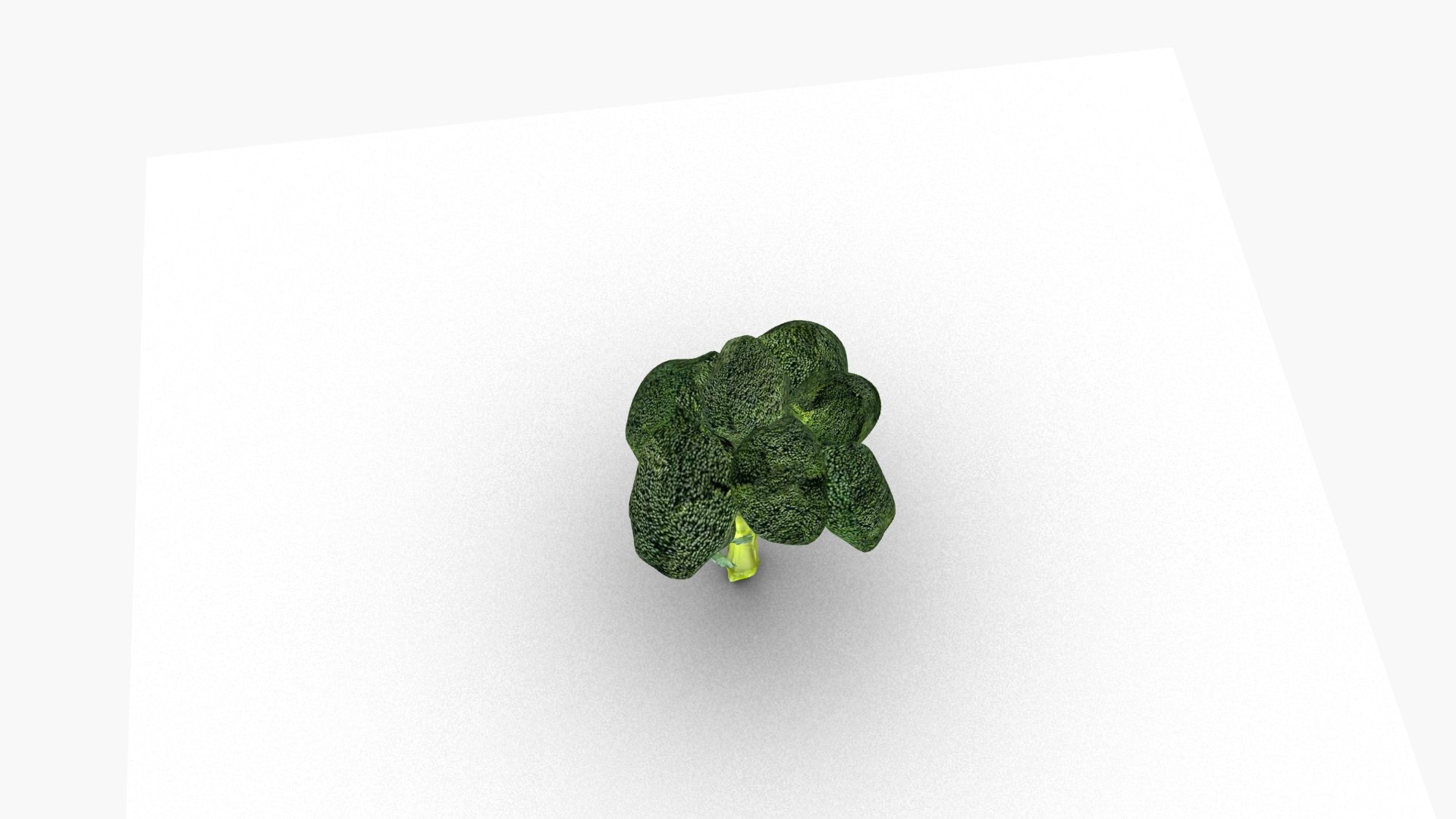 Broccoli model https://p.turbosquid.com/ts-thumb/xT/6sEy9f/3T/ps4/jpg/1674477400/1920x1080/fit_q87/0cc2760118015fc01c3c7257399a904d02957e66/ps4.jpg