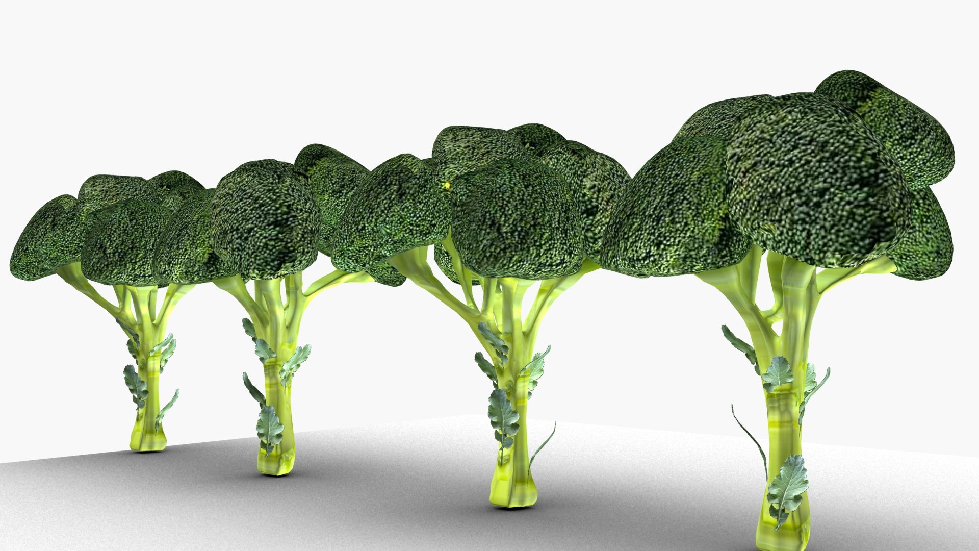 Broccoli model https://p.turbosquid.com/ts-thumb/xT/6sEy9f/5g/ps5/jpg/1674477404/1920x1080/fit_q87/aa7085c719d177578447f38a0fde44daa21a8cdf/ps5.jpg