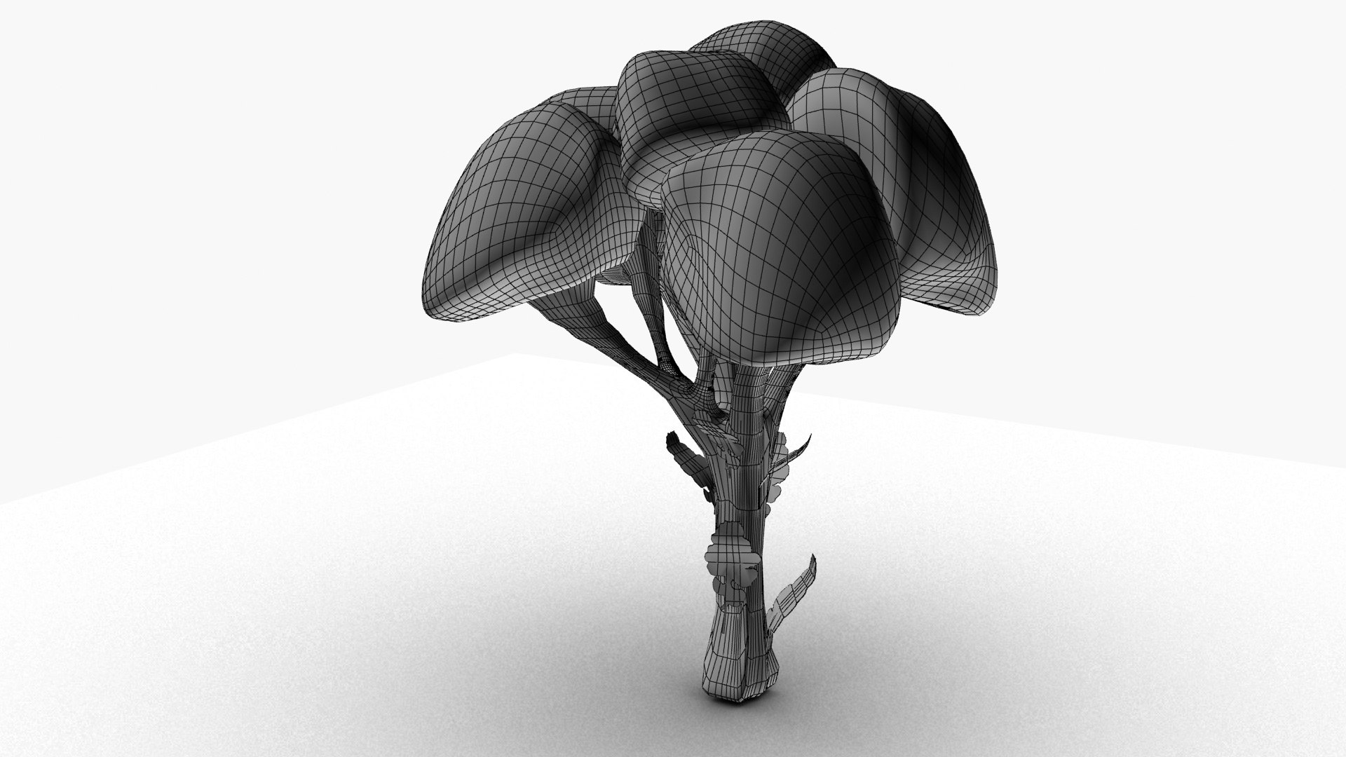 Broccoli model https://p.turbosquid.com/ts-thumb/xT/6sEy9f/Jk/wireframe/jpg/1674477417/1920x1080/fit_q87/702861fab45f334ed9f0eb7502975de847c30e24/wireframe.jpg