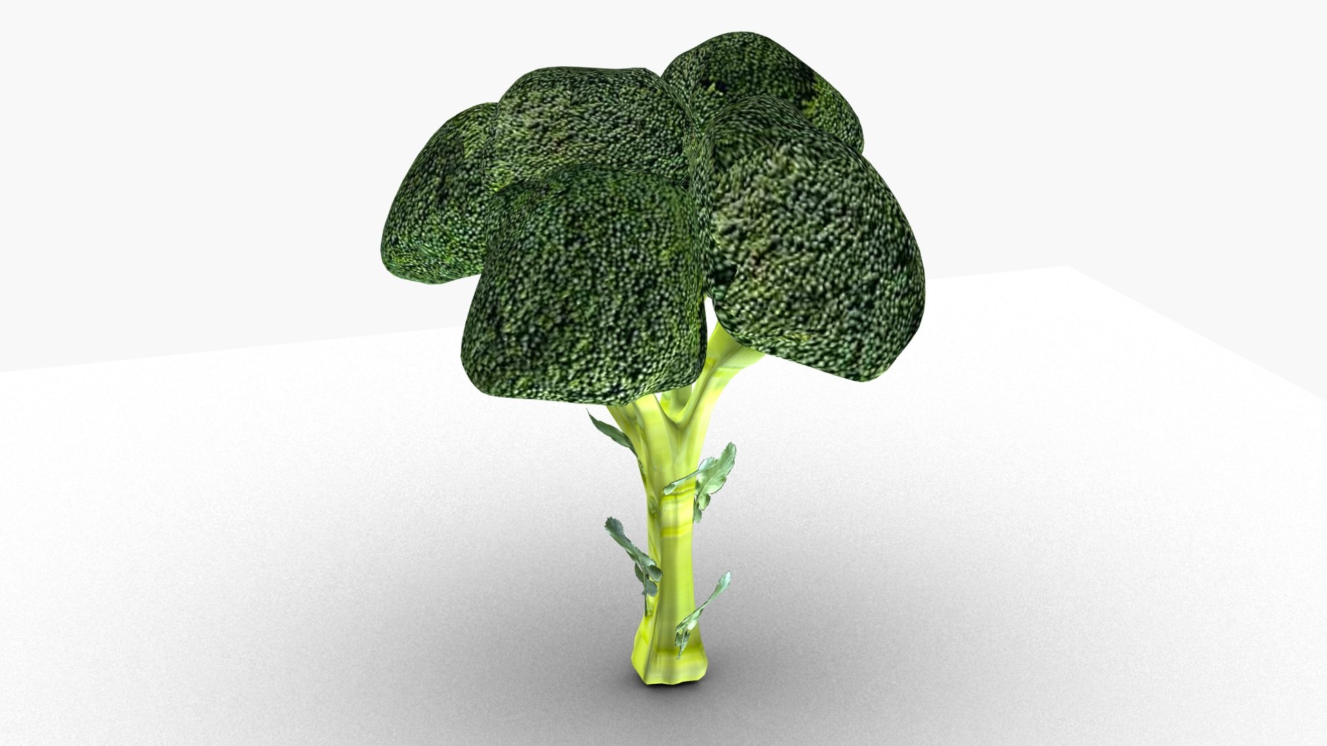 Broccoli model https://p.turbosquid.com/ts-thumb/xT/6sEy9f/Xq/ps2/jpg/1674477372/1920x1080/fit_q87/fafaed93eb8aba4a83303e83a81ec0b1ba0645b5/ps2.jpg