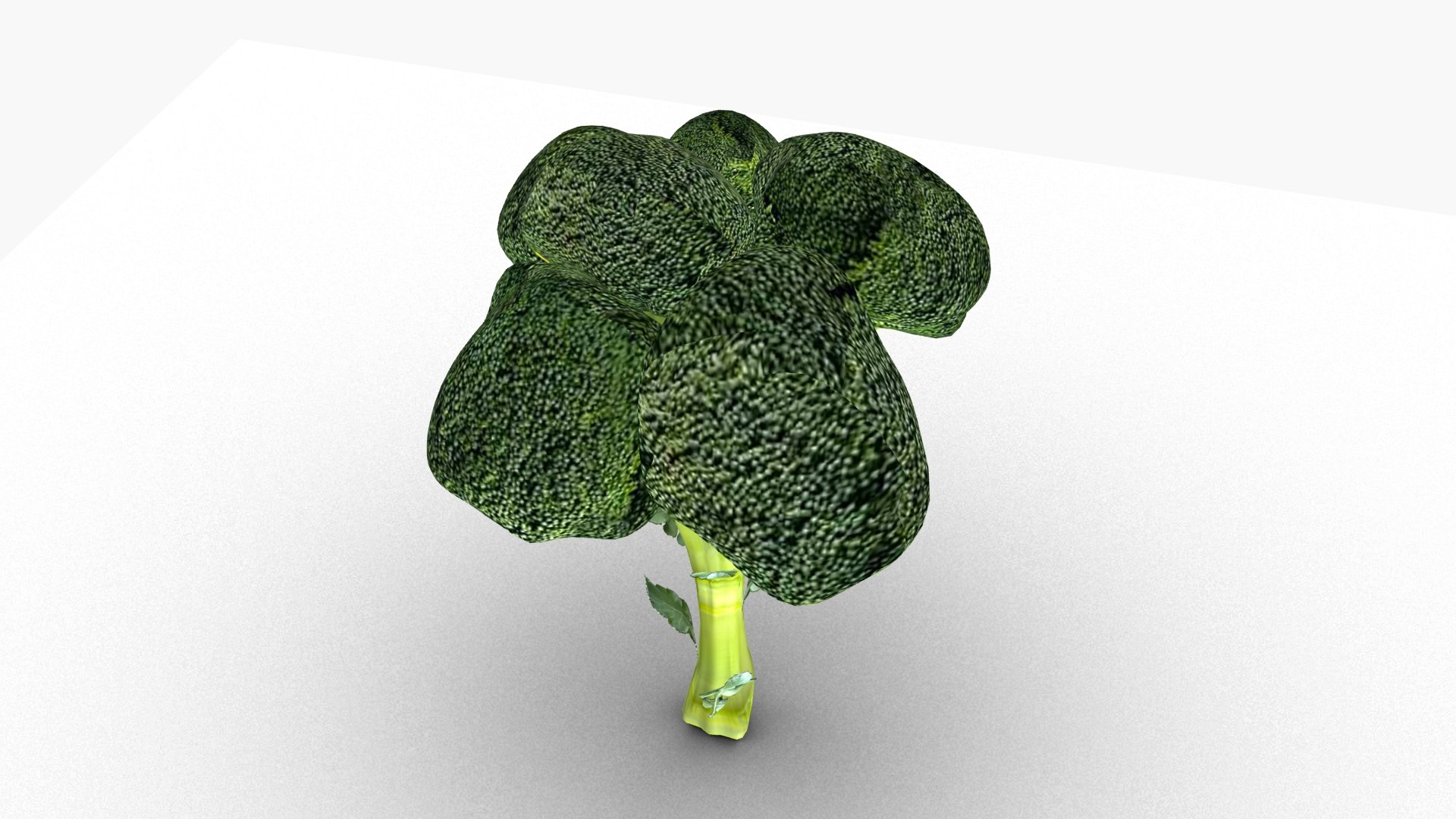 Broccoli model https://p.turbosquid.com/ts-thumb/xT/6sEy9f/ni/ps3/jpg/1674477378/1920x1080/fit_q87/c6ad927448422339e5ca9dbf039b163cd2b3558c/ps3.jpg