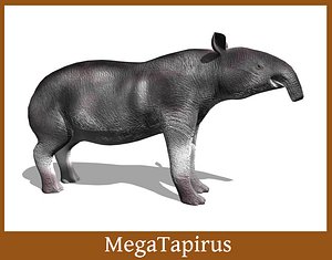 3d prehistoric tapir megatapirus