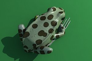 Leopard Frog
