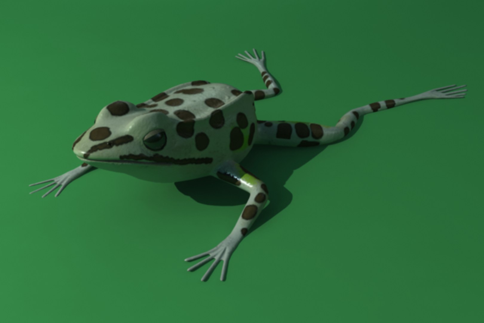 obj leopard frog animation https://p.turbosquid.com/ts-thumb/xT/LxK9f3/I5KaZKQE/render10/png/1315323618/1920x1080/fit_q87/b517235e28c0943c651dd9fb648dc022edf3be81/render10.jpg