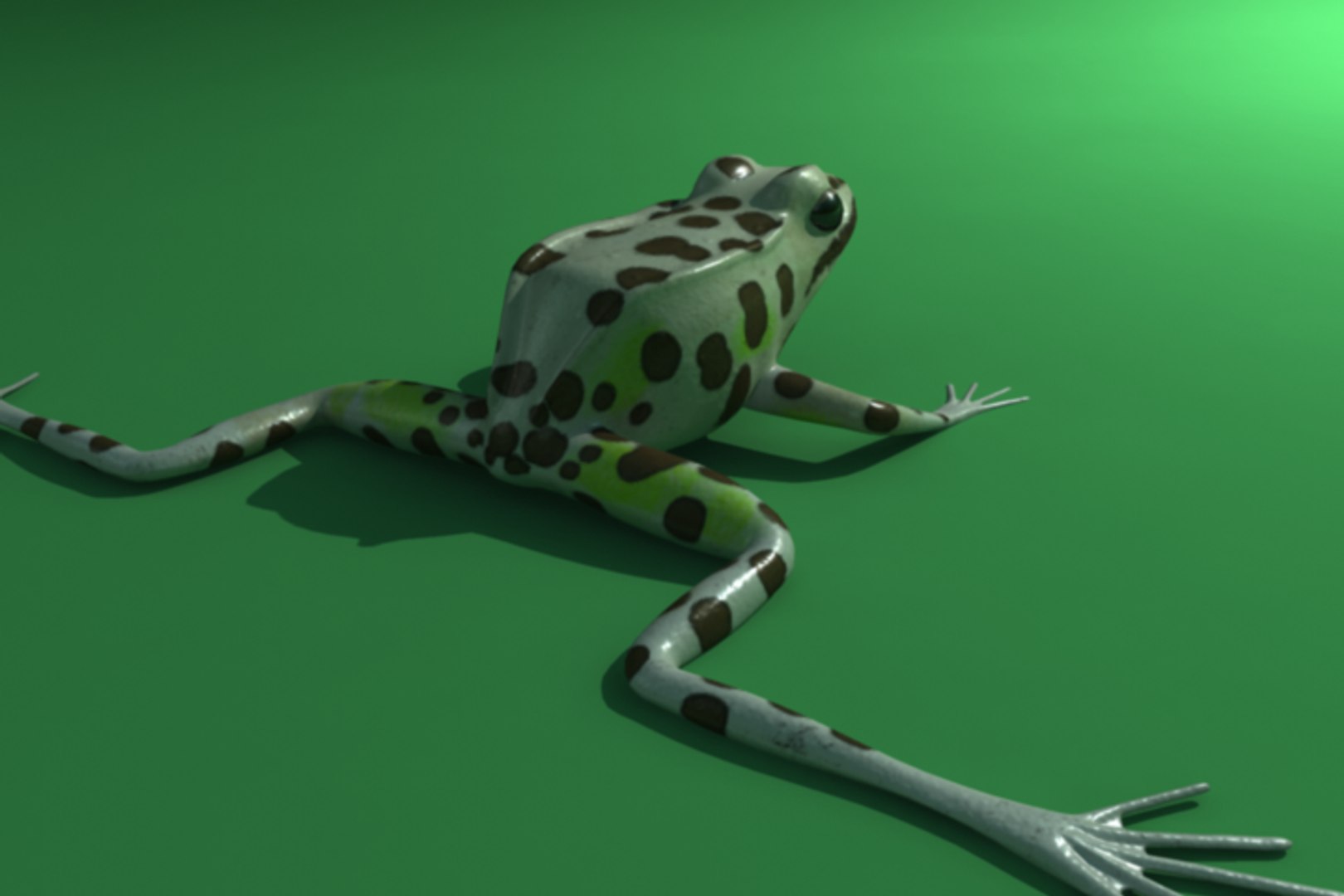 obj leopard frog animation https://p.turbosquid.com/ts-thumb/xT/LxK9f3/I6DtzD5m/render08/png/1315323618/1920x1080/fit_q87/9490b172799586bdb629cdbf268e9735e33ad2be/render08.jpg