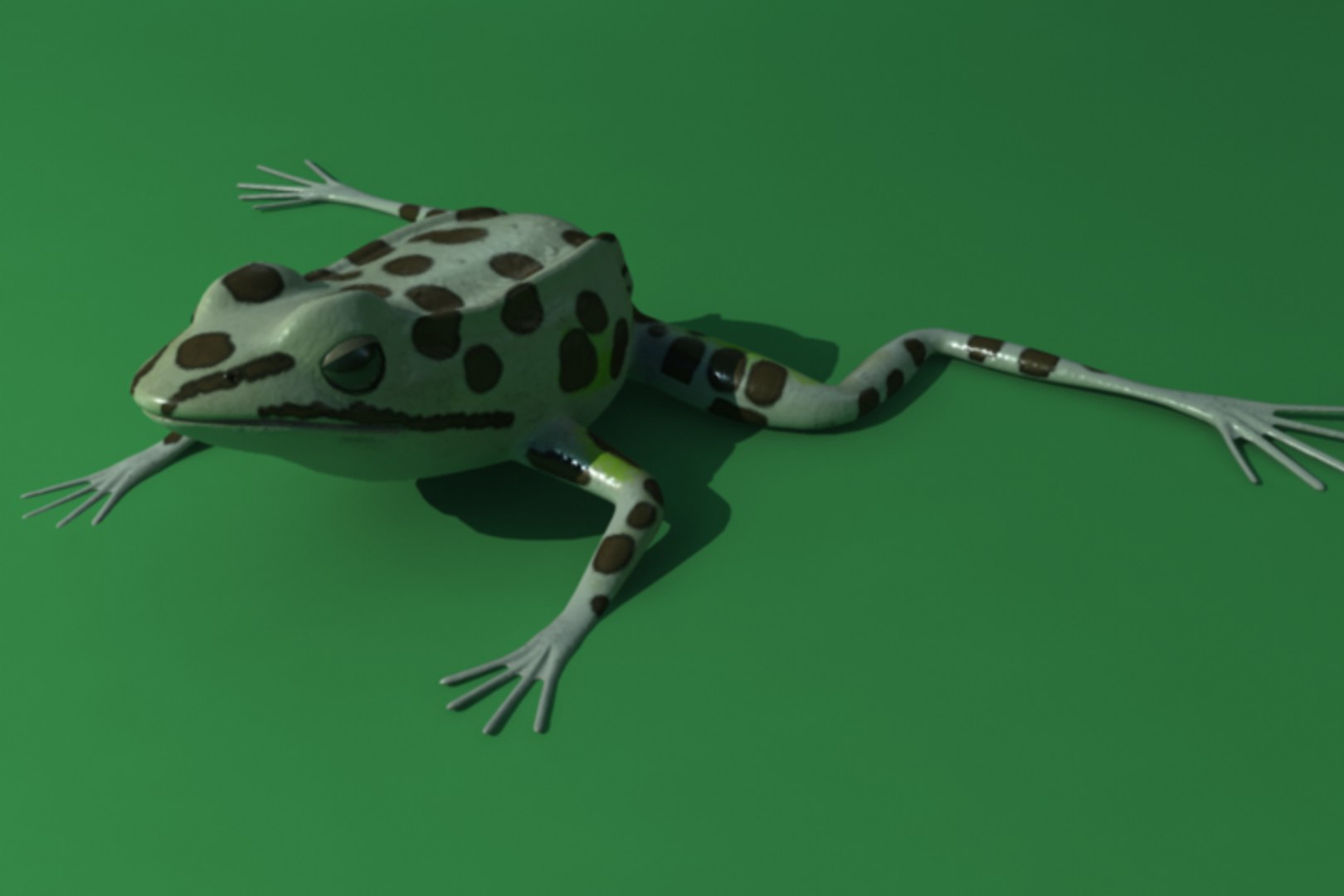 obj leopard frog animation https://p.turbosquid.com/ts-thumb/xT/LxK9f3/g9m8TbzK/render07/png/1315323618/1920x1080/fit_q87/240b27fd4004d5fbd522d83fff8133d425ce91f3/render07.jpg