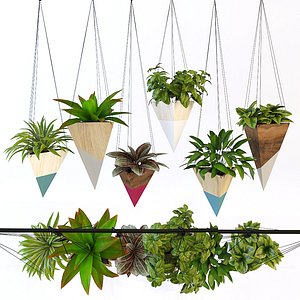 hanging plant max