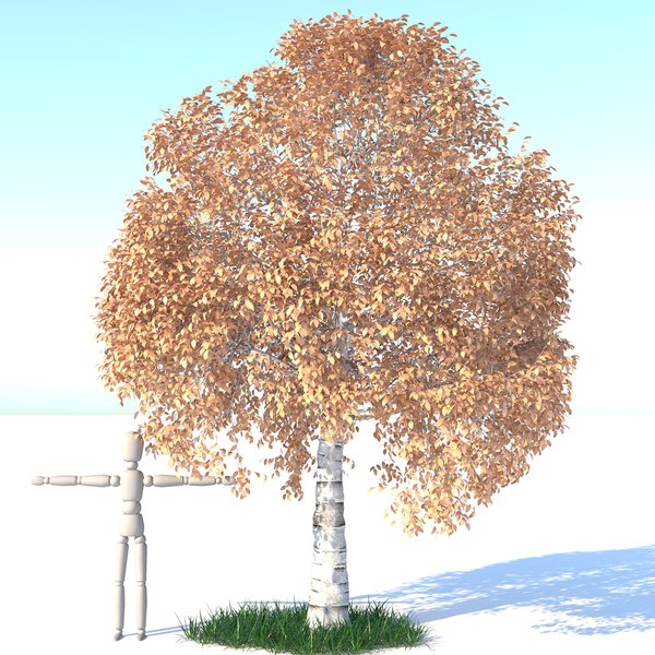 3D aspen tree grass model - TurboSquid 1680847