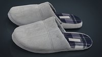 House slippers 2